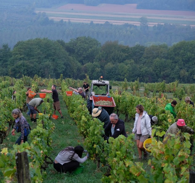 Vigneron Savoyard soutien l'installation de nouveaux vignerons